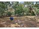 A simple, quiet playground featuring swings and spring riders surrounded by mature trees at 32132 Hickory Ln, Sorrento, FL 32776