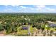 Secluded house surrounded by an expanse of green space and tall trees offering privacy and scenic views at 40050 Darlington Ave, Lady Lake, FL 32159