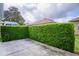 Private backyard with a concrete slab and tall hedge row, providing a serene outdoor space and natural border at 506 Weston Manor Dr, The Villages, FL 32162