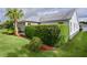 Manicured backyard with lush green grass, a mature palm tree, and a trimmed hedge for added privacy and beauty at 506 Weston Manor Dr, The Villages, FL 32162