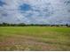 Expansive grassy backyard perfect for outdoor activities at 718 Lake Douglas Dr, Groveland, FL 34736