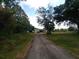 Gravel driveway leading to a metal building surrounded by trees and vegetation on a partly sunny day at 7701 Groveland Farms Rd, Groveland, FL 34736
