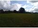 Expansive land ideal for development, boasting natural surroundings and open skies at 7701 Groveland Farms Rd, Groveland, FL 34736