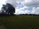 Extensive acreage showing a large tree, perfect for building a secluded residence at 7701 Groveland Farms Rd, Groveland, FL 34736