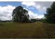Expansive lot featuring a massive tree, suitable for custom home construction at 7701 Groveland Farms Rd, Groveland, FL 34736