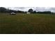 Expansive grassy field with mature trees, offering space and privacy for outdoor activities and potential development at 7701 Groveland Farms Rd, Groveland, FL 34736