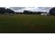 Expansive grassy field with mature trees, offering space and privacy for outdoor activities and potential development at 7701 Groveland Farms Rd, Groveland, FL 34736