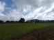 A view of open land with mature trees and distant building features under a partly cloudy sky at 7701 Groveland Farms Rd, Groveland, FL 34736