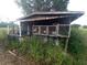 Rustic outdoor structure surrounded by lush greenery, offering an unconventional space at 7701 Groveland Farms Rd, Groveland, FL 34736