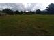 Vast land showcasing property with potential for building or agricultural endeavors at 7701 Groveland Farms Rd, Groveland, FL 34736