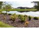 Scenic backyard view featuring a tranquil pond and manicured landscaping at 8492 Hartford Way, Mount Dora, FL 32757
