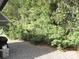 Side yard with dense trees next to the home at 1014 Dustin Dr, Lady Lake, FL 32159