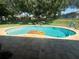 Private in-ground pool surrounded by lush green landscaping creating a serene backyard oasis at 11301 Via Mari Cae Ct, Clermont, FL 34711