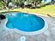 Backyard swimming pool is surrounded by trees and green lawn at 11301 Via Mari Cae Ct, Clermont, FL 34711
