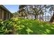 Lush green lawn sloping towards the lake, adorned with mature trees at 12104 Elbert St, Clermont, FL 34711