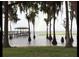 Beautiful waterfront view with a rainbow, dock, and trees at 12104 Elbert St, Clermont, FL 34711