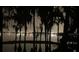 Scenic waterfront view with trees at night at 12104 Elbert St, Clermont, FL 34711