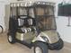 Close-up of a well-maintained golf cart with a striped roof in a home garage at 1310 Jimenez Ct, The Villages, FL 32159