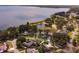 A high-angle view of a residential neighborhood near a body of water with mature trees at 1350 Mosswood Dr, Leesburg, FL 34748