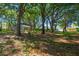 Large backyard with many trees providing ample shade at 1663 Markel Dr. Dr, Winter Garden, FL 34787