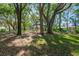 Large backyard with mature trees providing shade and privacy at 1663 Markel Dr. Dr, Winter Garden, FL 34787
