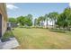 View of the expansive backyard with tall palms and a screened patio in the distance at 3948 Serena Ln, Clermont, FL 34711
