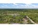 Aerial view of cabin located on acreage including a serene pond surrounded by lush, mature trees at 41513 Aspen St, Eustis, FL 32736