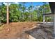 Large, wooded backyard ready for customization, offering privacy and a connection to nature near the back porch at 42191 Cashew St, Eustis, FL 32736