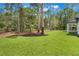 Expansive backyard with lush green grass and mature trees, perfect for outdoor activities at 42191 Cashew St, Eustis, FL 32736