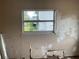 View from window in room needing repair, with peeling paint on walls at 447 E Desoto St, Clermont, FL 34711