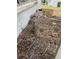 Side yard view of property overgrown with dead vegetation and debris at 447 E Desoto St, Clermont, FL 34711
