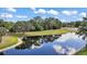 Scenic aerial view of a calm lake reflecting the sky, surrounded by lush trees and greenery at 579 Juniper Way, Tavares, FL 32778