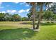 Beautiful field with tall trees and a pond in the background under a blue sky at 579 Juniper Way, Tavares, FL 32778