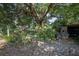 Lush backyard featuring mature trees and landscaping, with a storage shed at 616 Third Ave, Lady Lake, FL 32159
