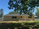 Rear exterior view of home highlighting neutral siding, green shutters, and a backyard patio at 619 W Seminole Ave, Eustis, FL 32726