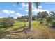 Scenic backyard view from a palm tree to homes in a well-manicured neighborhood at 705 Grand Vista Trl, Leesburg, FL 34748