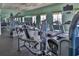 Well-equipped fitness center featuring a variety of modern exercise machines and weights at 8387 Bridgeport Bay Cir, Mount Dora, FL 32757