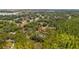An aerial view of the home nestled among lush trees in a community at 9134 Mossy Oak Ln, Clermont, FL 34711