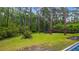 Spacious backyard featuring a trampoline and plenty of room to play surrounded by lush greenery at 9134 Mossy Oak Ln, Clermont, FL 34711