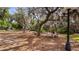 Local park with picnic benches, grills, mature trees at 9134 Mossy Oak Ln, Clermont, FL 34711