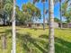 Lush backyard offers ample space for outdoor activities and entertaining with beautiful mature palm trees at 11114 Lake Eustis Dr, Leesburg, FL 34788