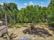 A lush backyard with mature trees and tropical landscaping provides a serene and private outdoor living space at 11114 Lake Eustis Dr, Leesburg, FL 34788