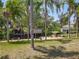 A boat sits moored to a wooden dock in a waterway surrounded by mature palm trees at 11114 Lake Eustis Dr, Leesburg, FL 34788