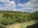Serene view from the lanai showcasing Florida's natural beauty at 1288 Grady Ln, Davenport, FL 33896