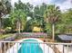 Overhead shot of a private pool and deck, surrounded by tropical trees and greenery at 26 Weston Rd, Leesburg, FL 34748