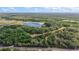 Aerial view showcasing a lake and tree-covered landscape, highlighting the property's natural beauty and vastness at 27011 Se Highway 42, Umatilla, FL 32784