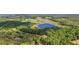 Aerial shot showcases a serene lake nestled amongst lush trees and greenery, offering stunning views at 27011 Se Highway 42, Umatilla, FL 32784