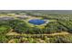 Expansive property with lush greenery, a tranquil lake, and mature trees offers a private and serene natural retreat at 27011 Se Highway 42, Umatilla, FL 32784