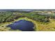 Stunning aerial view of a large lake surrounded by lush greenery and trees, showcasing the property's natural beauty at 27011 Se Highway 42, Umatilla, FL 32784
