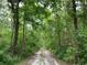 Dirt road through a lush green forest at 31857 Dahlia Ct, Eustis, FL 32736